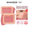BANXEER Blush Cream Face Blusher 5 Colors Ever-changing Matte Shimmer Waterproof Long-lasting 3 IN 1 Multi-use Blush Face Makeup NoirKiss